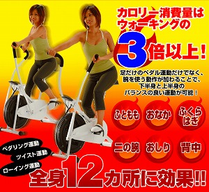 �T�C�N���c�C�X�^�[�X����